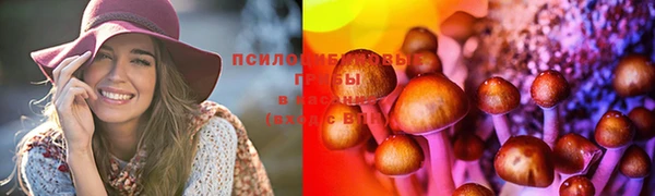 дмт Волоколамск